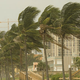 iStockphoto/Thinkstock
